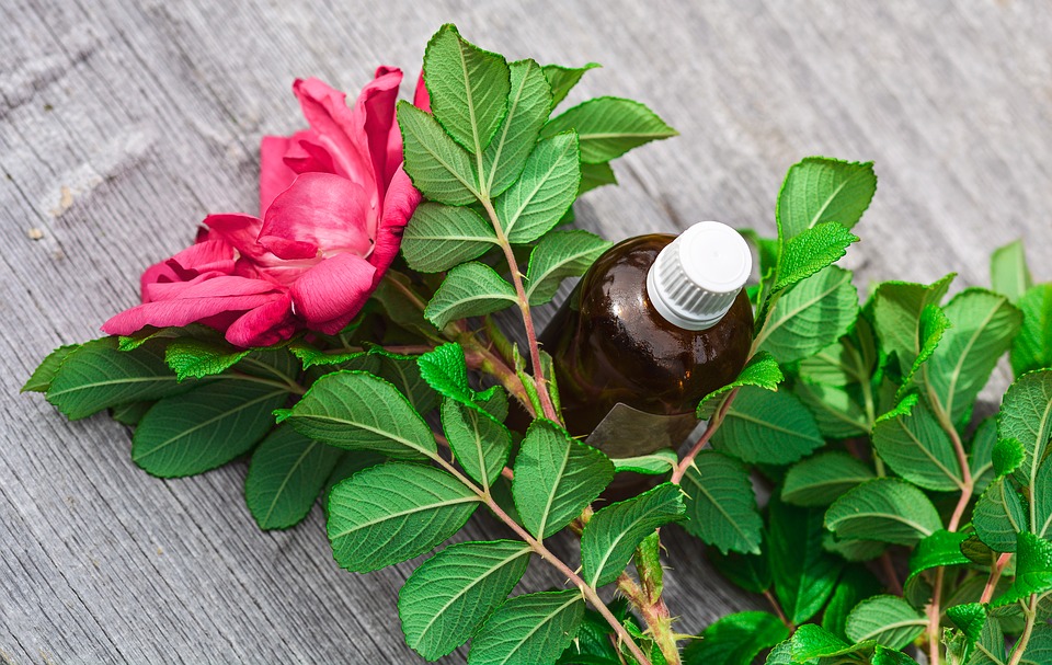 plants and bottle