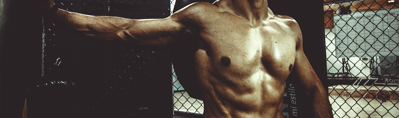 muscle
